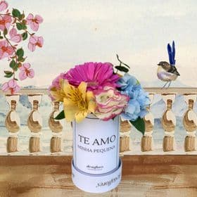 thumb-flower-box-tamanho-pp-mix-de-flores-0