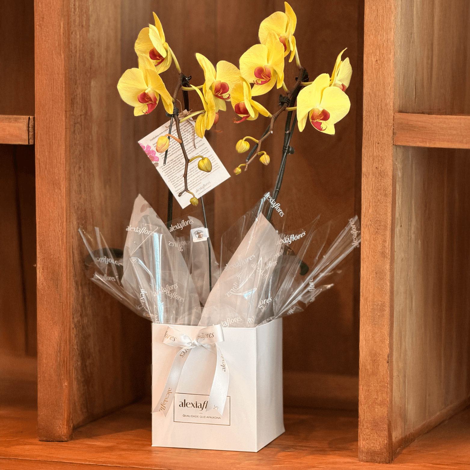 Orquidea Amarela (com 2 hastes)