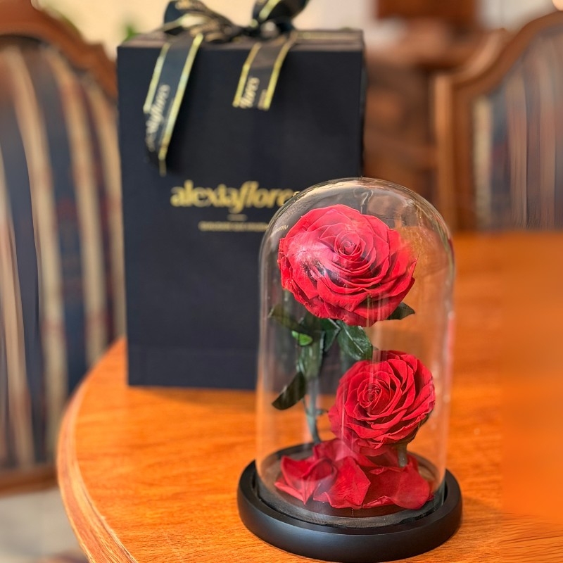 Rosas Preservadas (Joia Eterna)