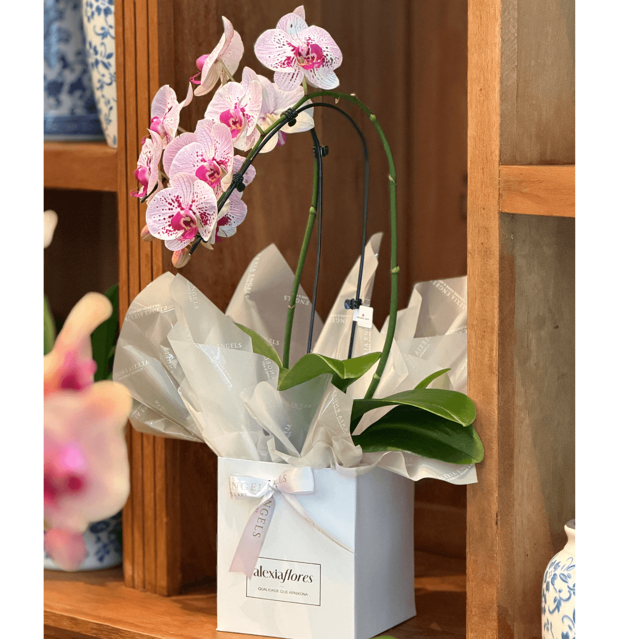 Orquídea Rosé (2 hastes)