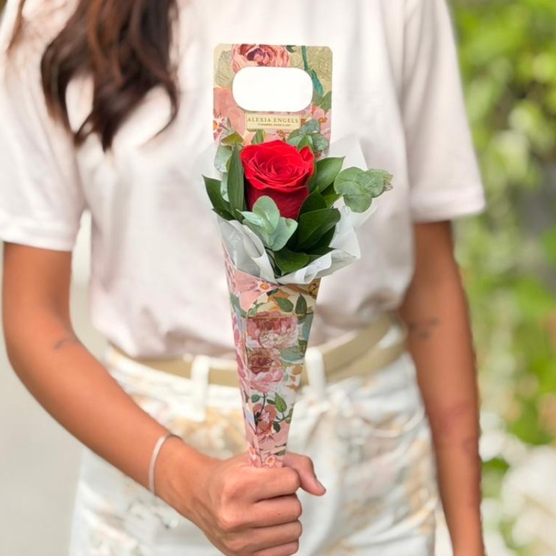 Cone com 1 Rosa Vermelha