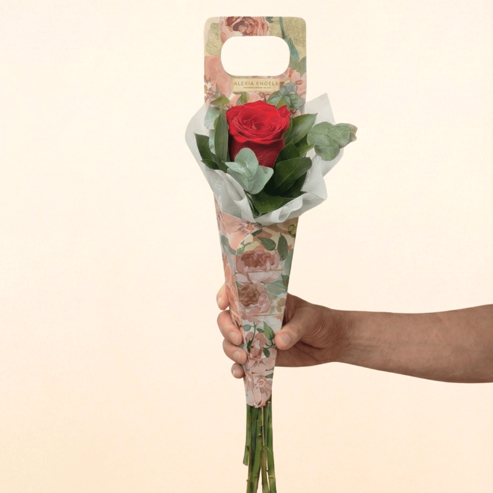 Cone com 1 Rosa Vermelha