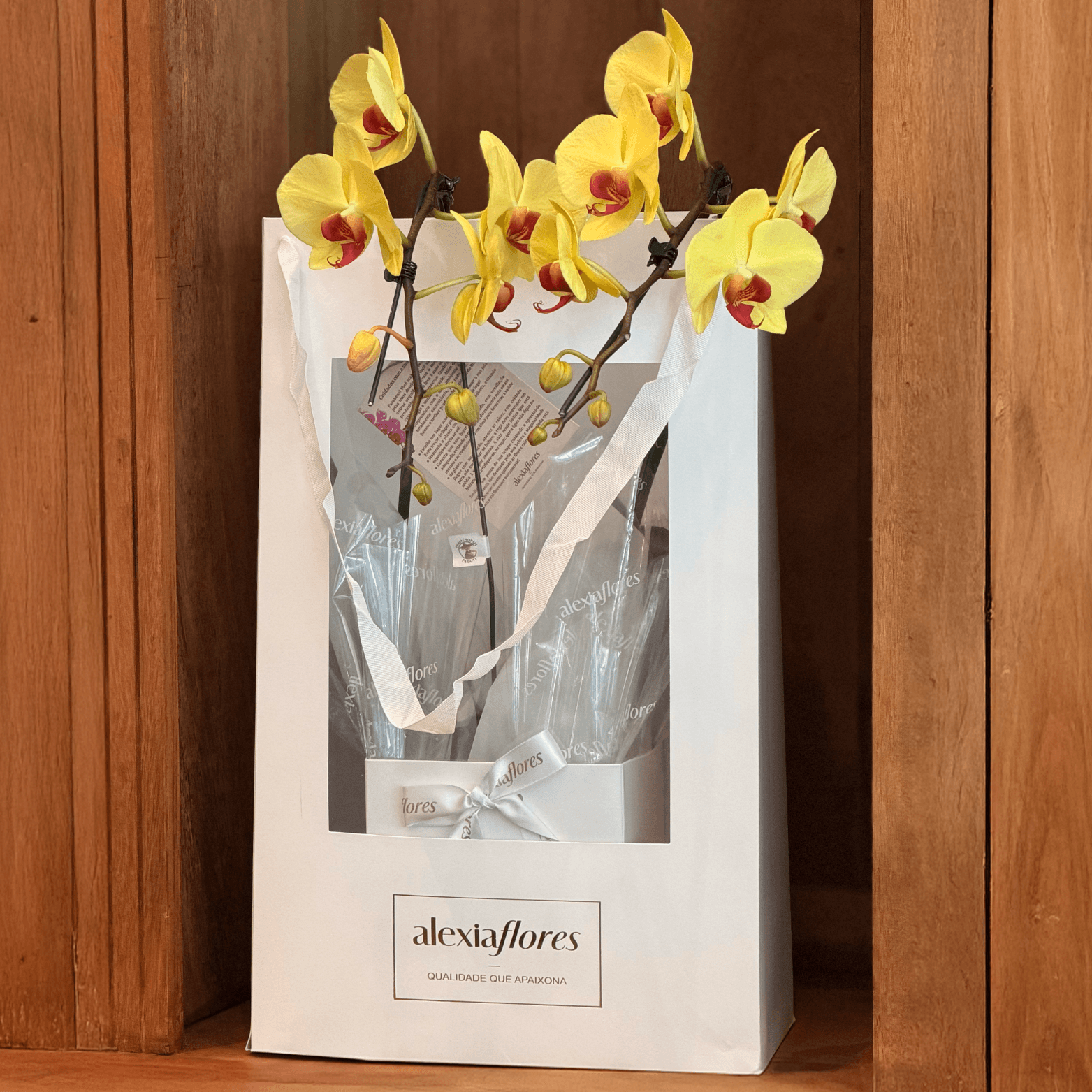 thumb-orquidea-amarela-com-2-hastes-1